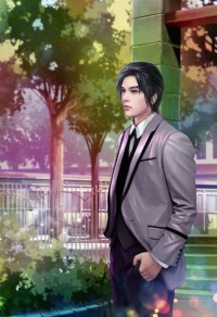 一见钟晴:陆少,宠妻无度