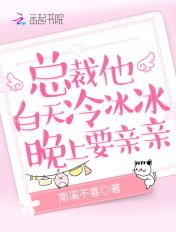 總裁他白天冷冰冰,晚上要親親