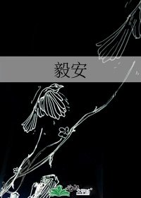 毅安